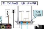 路由器哪个端口适合插网线？最佳插口选择标准是什么？