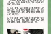 汽车火花塞充电器的正确使用方法是什么？使用不当会有什么影响？