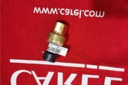如何通过BIOS设置将USB设备作为启动项（利用BIOS设置将计算机从USB启动）