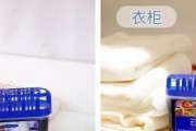 冰箱异味的消除方法（冰箱异味清除小妙招大揭秘）