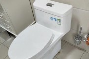 解决九牧马桶洗不干净的问题（如何有效清洗九牧马桶）