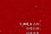 苹果手机红色版本为何容易掉色？
