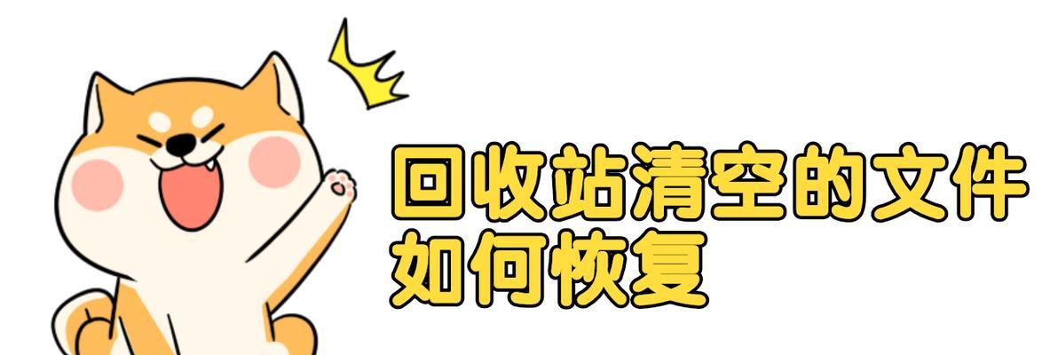 如何恢复不小心清空的回收站文件（教你使用专业工具迅速恢复已删除的文件）