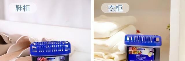 冰箱异味的消除方法（冰箱异味清除小妙招大揭秘）