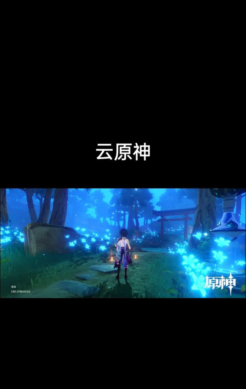 低配置电脑如何调整原神画质？原神画质设置有哪些技巧？
